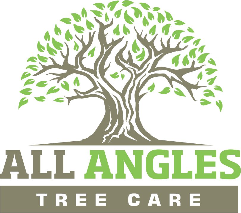 All Angles Tree Care